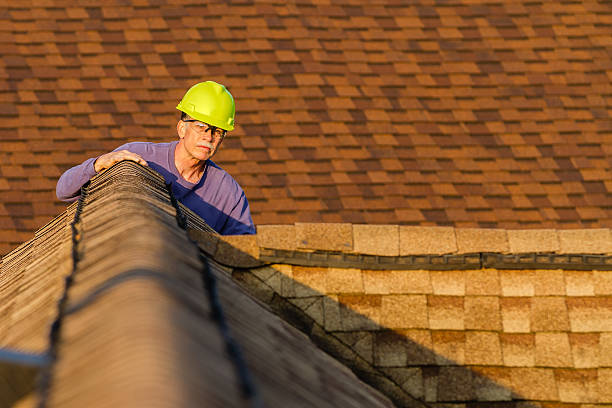 Roof Waterproofing Services in Lemon Grove, CA